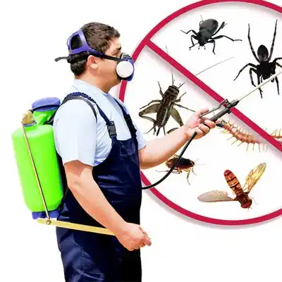 pest control Farmersville